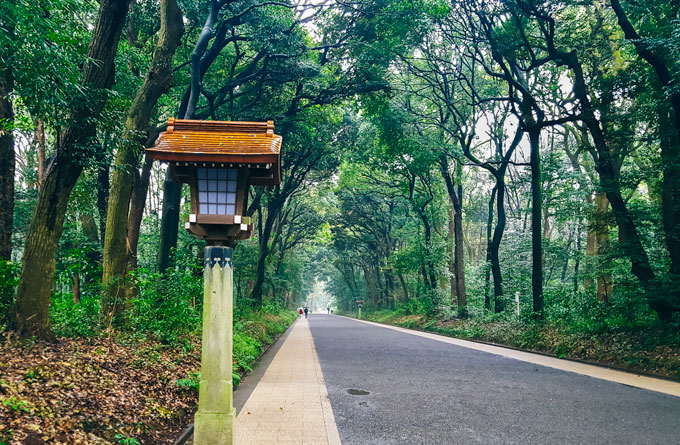 Yoyogi Park path in Shibuya Tokyo itinerary