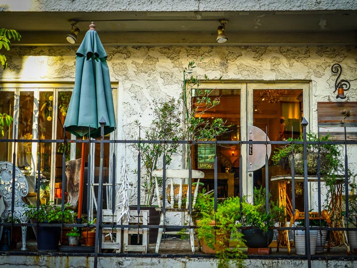 Tokyo local cafe with potted plants and blue umbrella.