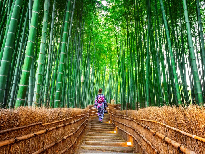 Woman traveling to Japan alone in Sagano bamboo forest