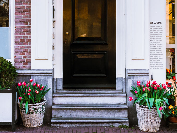 Pink tulip baskets by black door spotted while visiting Amsterdam in spring