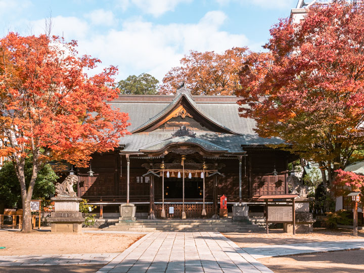 Visiting Japan in October - Matsumoto shrine with red autumn leaves.