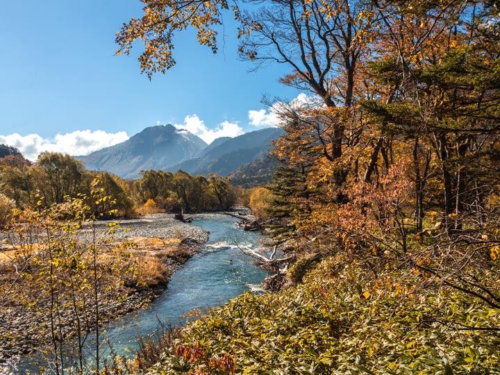 Kamikochi forest river path with distant mountain view.