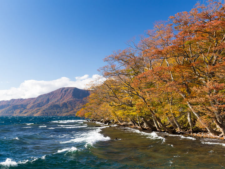 Lake Towada shoreline with view of fall trees and mountain.